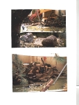 Allwetterzoo Münster