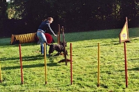 2005 CBF-Dogs
