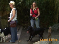 2005 CBF-Dogs