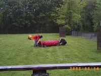 2005 CBF-Dogs