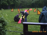 2005 CBF-Dogs