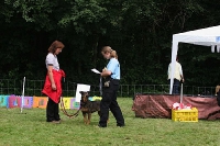 2005 CBF-Dogs