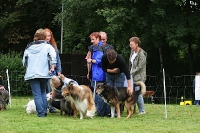 2005 CBF-Dogs