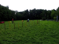 2006 CBF-Dogs