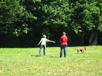 2006 CBF-Dogs