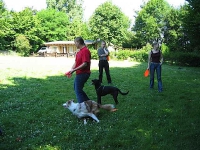 2006 CBF-Dogs