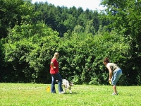 2006 CBF-Dogs