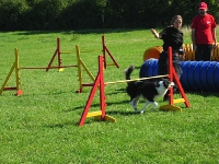 2006 CBF-Dogs