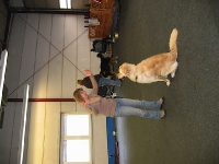 2007 CBF-Dogs