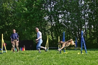 2007 CBF-Dogs