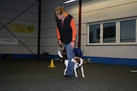 2008 CBF-Dogs