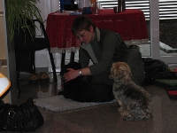 2008 CBF-Dogs