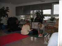 2008 CBF-Dogs