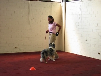 2008 CBF-Dogs