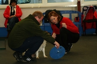 2008 CBF-Dogs
