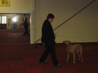 2009 CBF-Dogs