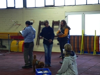 2009 CBF-Dogs