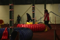 2009 CBF-Dogs