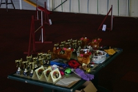 2009 CBF-Dogs