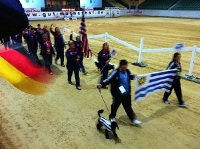 2010 CBF-Dogs