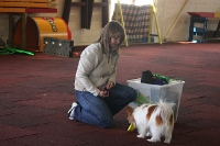 2011 CBF-Dogs