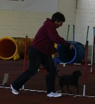 2011 CBF-Dogs