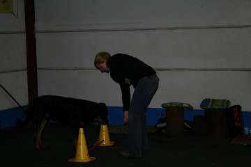 Tricktraining mit Denise Nardelli am 12.-13.01.2008