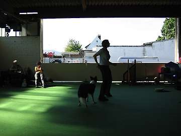Tricktraining mit Denise Nardelli 30.-31.08.2008