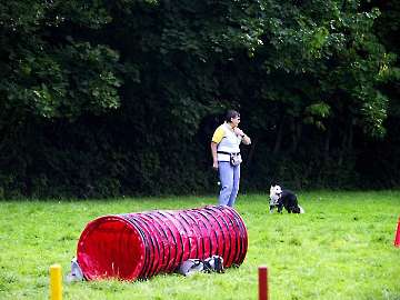Agility Anfänger 2006