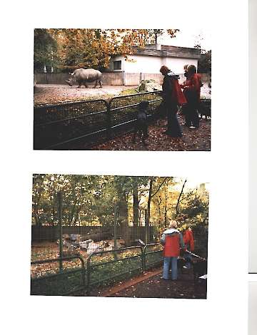 Allwetterzoo Münster 23.10.2004
