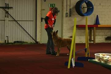 2009 CBF-Dogs