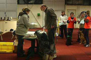 2009 CBF-Dogs