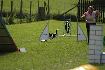 04.09.2011 Agility for Fun Turnier Biggesee