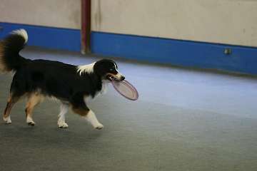 Dogfrisbee Anfängerseminar 22.04.2007 9.00 Uhr