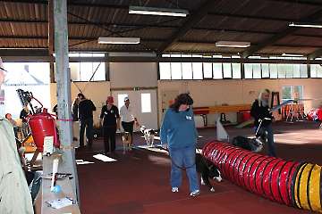 2011 CBF-Dogs