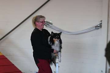 Seminar bei Herbert und Jule 21.-22.01.2012